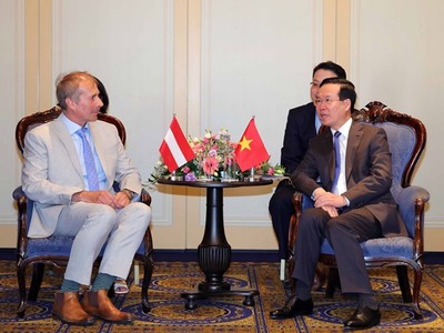 Chủ tịch nước Võ Văn Thưởng tiếp Chủ tịch Hội Hữu nghị Áo-Việt Nam Alfred Gerstl (Ảnh: TTXVN)