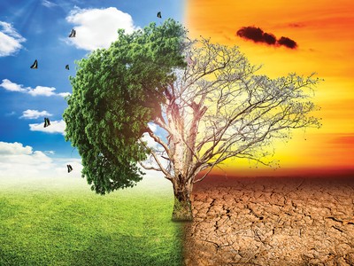 Biến rác thành… vàng