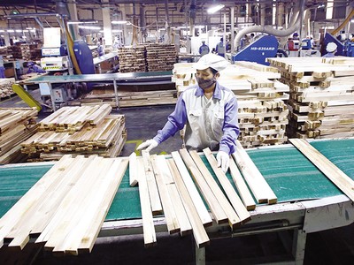 Trong tháng 7/2023, các doanh nghiệp ngành chế biến gỗ và nội thất bắt đầu đón đơn hàng xuất khẩu trở lại. Ảnh: Đ.T