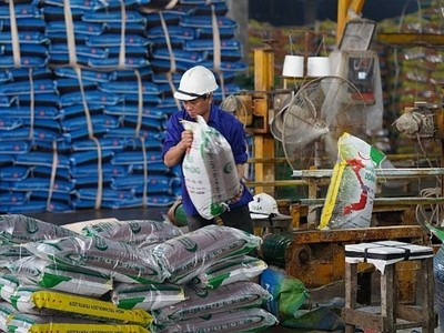 Năm 2022, các doanh nghiệp phân bón từng kiến nghị được chuyển sang diện chịu thuế VAT với thuế suất 5%.