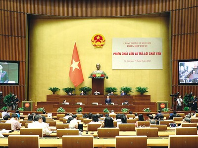 Bộ trưởng Bộ Tư pháp Lê Thành Long trả lời chất vấn. Ảnh: V.T