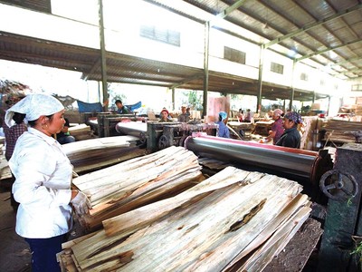 Doanh nghiệp xuất khẩu sản phẩm gỗ đang gặp nhiều khó khăn trong hoàn thuế VAT Ảnh: Đức Thanh