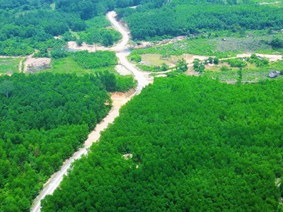 Một khu vực đất trồng rừng tại thôn Thủy Dương, xã Lộc Tiến (nơi Công ty TNHH Lộc Lợi khai thác đất trái phép). Ảnh: L.N