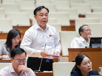 Đại biểu Nguyễn Công Long phát biểu tại phiên họp. 