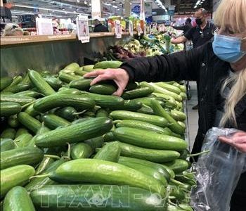 Dưa chuột bày bán tại một siêu thị ở Israel. 