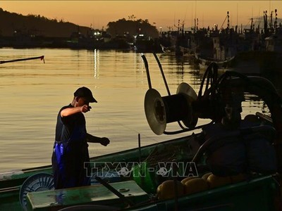 Ngư dân đánh cá tại cảng ở Soma, tỉnh Fukushima (Nhật Bản), ngày 24/8/2023. Ảnh: Kyodo/TTXVN 