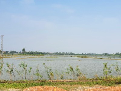 Hiện trạng khu vực được quy hoạch thực hiện dự án Khu đô thị sinh thái ven sông phía Tây Bắc đường Lê Lợi, TP. Đồng Hới (khu đô thị mới). Ảnh: Ngọc Tân 