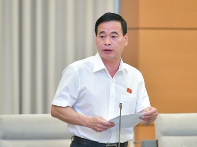 Phó chủ nhiệm Ủy ban Tư pháp Nguyễn Mạnh Cường.