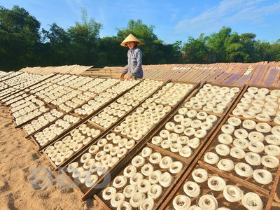 Chiến lược đề ra mục tiêu phấn đấu đến năm 2030, tốc độ tăng trưởng của nhóm ngành nghề nông thôn đạt khoảng 6,0 - 7,0%/năm.