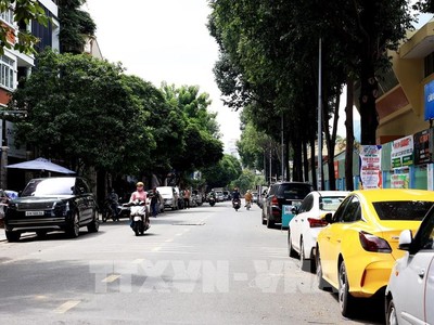 Ô tô đậu dưới lòng đường tại đường Hoa Phượng, phường 2, quận Phú Nhuận. Ảnh: Hồng Đạt - TTXVN