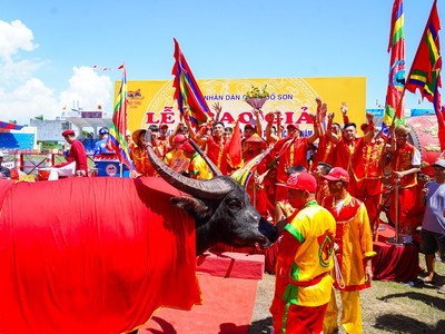 Hơn 20.000 du khách đến với Lễ hội chọi trâu Đồ Sơn năm 2023