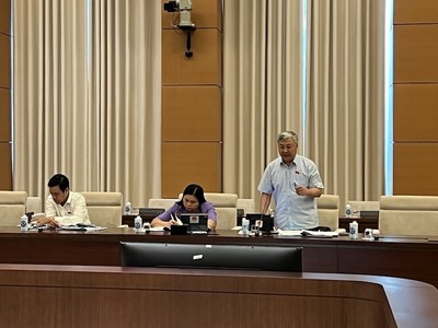 Đại biểu Trần Văn Lâm phát biểu tại phiên họp.