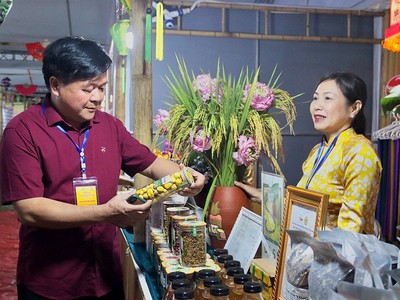 Sản phẩm OCOP được trưng bày, quảng bá tại các gian hàng.