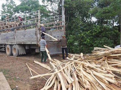 Cơ quan của Quốc hội báo cáo gì về vụ doanh nghiệp kêu cứu vì chậm hoàn thuế 