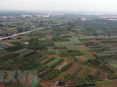 (Ảnh minh họa: Huy Hùng/TTXVN)