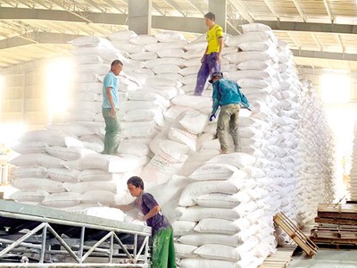 Còn khá nhiều doanh nghiệp xuất khẩu tinh bột sắn chưa được hoàn thuế VAT. Trong ảnh: Vận chuyển tinh bột sắn xuất khẩu tại Công ty An Phát.