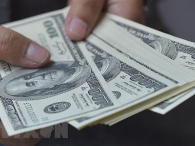 Đồng tiền mệnh giá 100 USD. (Ảnh: AFP/TTXVN)