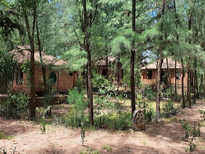 Dự án Aquatica Cửa Việt hoang tàn sau khi nhà đầu tư ngừng thi công.