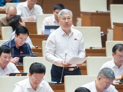 Đại biểu Trần Văn Lâm (Bắc Giang) tham gia thảo luận. 