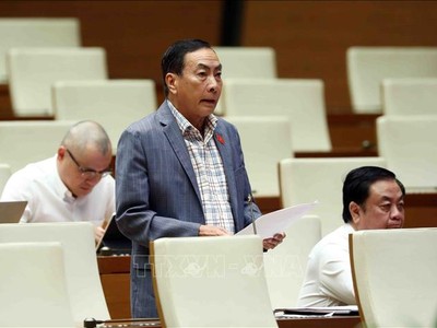 Đại biểu Quốc hội tỉnh Đồng Tháp Phạm Văn Hòa. Ảnh: Phạm Kiên/TTXVN