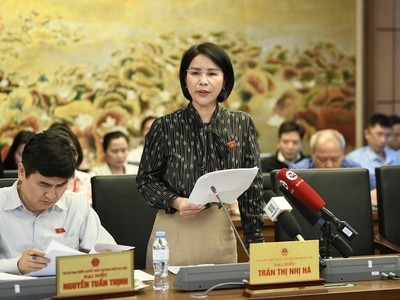 Đại biểu Trần Thị Nhị Hà phát biểu tại tổ. 