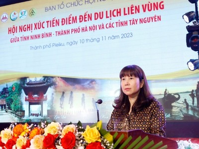 Bà Đặng Hương Giang, Giám đốc Sở Du lịch Hà Nội phát biểu tại Hội nghị.