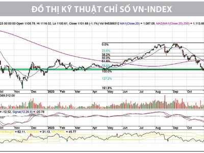 Xác nhận đáy trung hạn