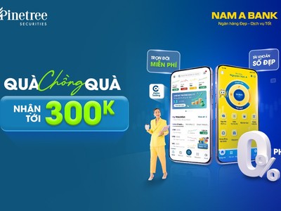 Pinetree hợp tác Nam A Bank tặng 300.000 đồng dành cho khách hàng mở mới