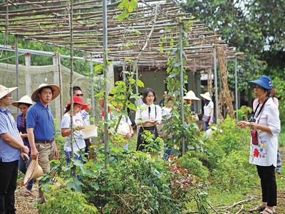 Du khách tham quan trang trại Đồng quê tại huyện Ba Vì (Hà Nội). Ảnh: Hạnh Phúc
