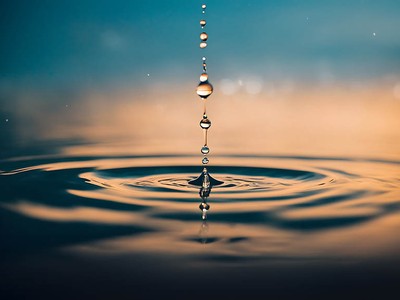 Mục tiêu phát thải ròng bằng '0' - không thể trì hoãn