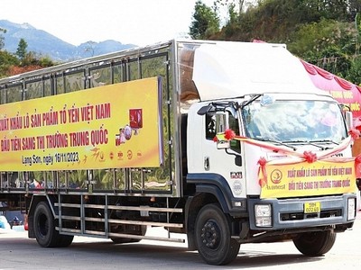 Công ty CP dinh dưỡng Avanest Việt Nam đã xuất khẩu lô sản phẩm tổ yến đầu tiên sang Trung Quốc.