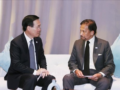  Chủ tịch nước Võ Văn Thưởng gặp Quốc vương Brunei Haji Hassanal Bolkiah. Ảnh: TTXVN.