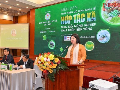 Bà Cao Xuân Thu Vân, Chủ tịch Liên minh Hợp tác xã Việt Nam phát biểu tại Diễn đàn. (Ảnh: Vnbusiness)