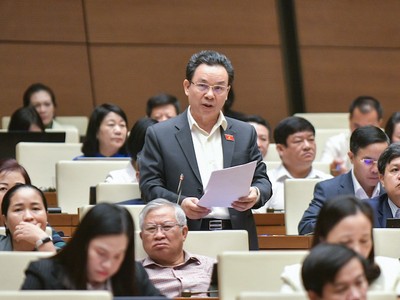 Đại biểu Hoàng Văn Cường phát biểu tại hội trường. 