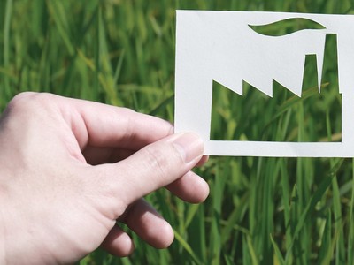 Cẩn trọng với “tẩy xanh”