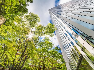 Văn phòng “xanh” sẽ là chìa khóa cạnh tranh giai đoạn tới