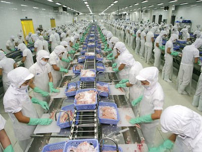 Vĩnh Hoàn (VHC) chốt quyền tạm ứng cổ tức 20% bằng tiền mặt 