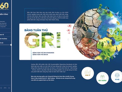 Bảo Việt - Doanh nghiệp Việt đầu tiên vào Bảng xếp hạng DJSI