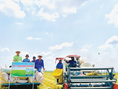 Chương trình “Cánh đồng hội nhập” hợp tác, hỗ trợ nông dân được PAN thực hiện thông qua đơn vị thành viên VFC hơn 10 năm qua