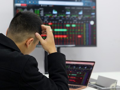 Cổ phiếu VNC được thị trường đánh giá khá ổn định 