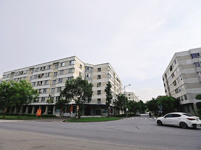 Nên tập trung nguồn lực tài chính vào làm nhà ở xã hội, nhà ở giá rẻ, vì thị trường này có dòng tiền tốt, nhu cầu ở thực cao. Ảnh: Đức Thanh