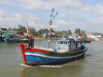 Tranh chấp bảo hiểm tàu cá gia tăng