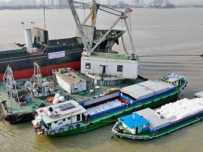 Xuất khẩu gạo năm 2023 đạt khoảng 4,8 tỷ USD, tăng gần 4 lần so với doanh số 1 tỷ USD của năm 1999.