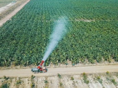 Doanh nghiệp tuần qua: HAGL Agrico lập công ty tại Lào; Hoa Sen dấn sâu vào bất động sản; GELEX công bố nhân sự cấp cao