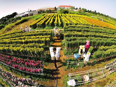 Festival hoa - kiểng Sa Đéc là dịp để quảng bá hình ảnh, con người Đồng Tháp với bạn bè, du khách