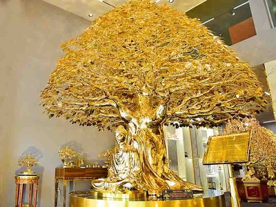 Ngắm cây bồ đề được mạ vàng 24k tại TP.HCM