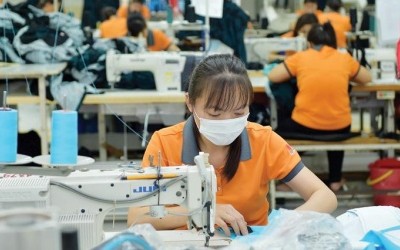 Quảng Ngãi hỗ trợ lãi suất hàng chục tỷ đồng cho doanh nghiệp