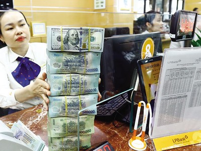 Tỷ giá được dự báo chỉ tăng 1,5-2,5% trong năm 2024. Ảnh: Đức Thanh