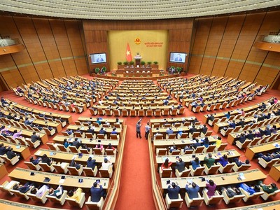 Nghị trường, bất thường và bình thường