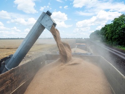 Nông dân thu hoạch lúa mỳ trên cánh đồng ở vùng Kharkiv, Ukraine ngày 19/7/2022. (Ảnh: AFP/TTXVN)